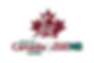 Team NB Logo