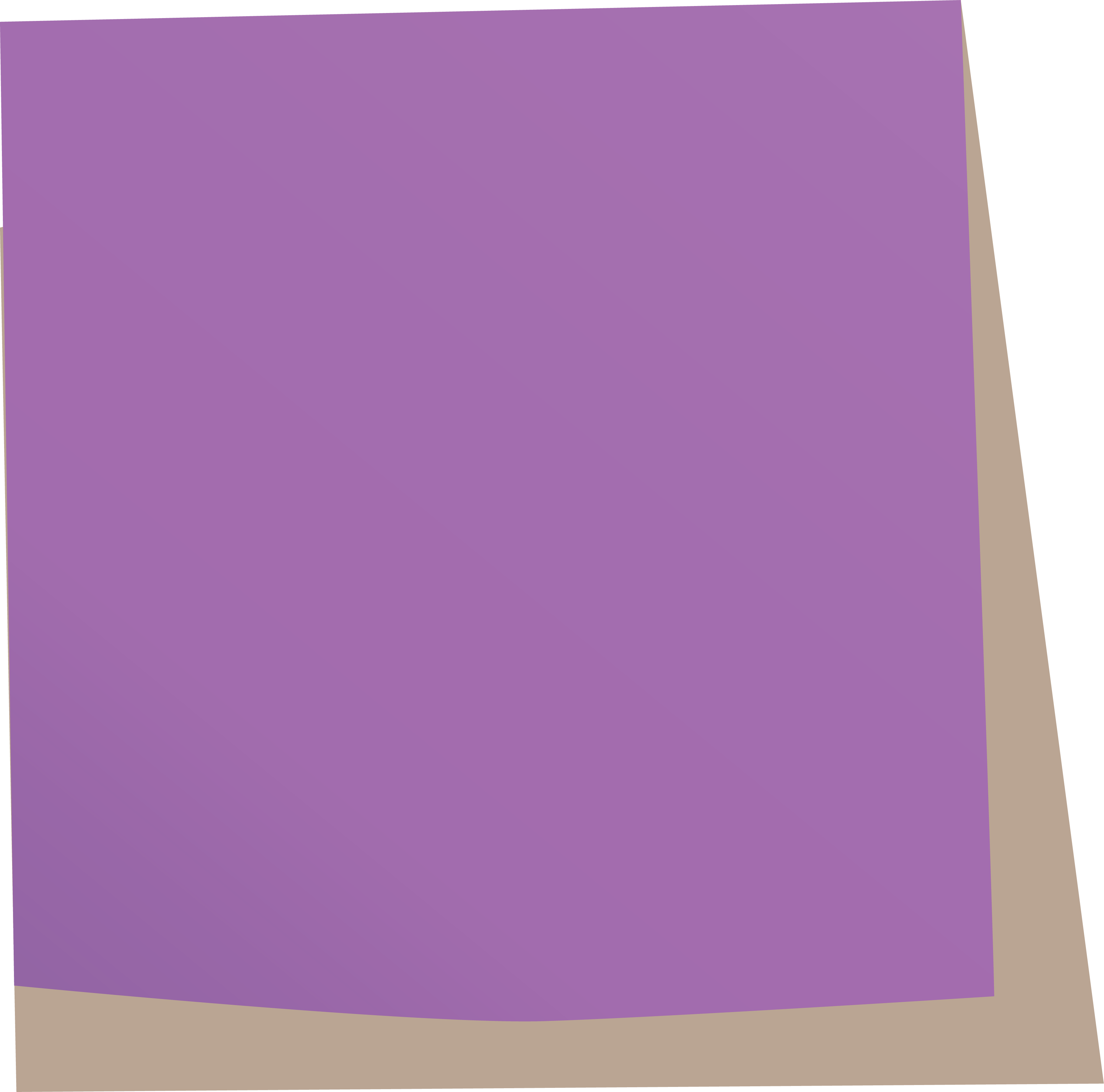 Asset 5_4x.png