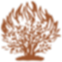 Blazing Tree.png
