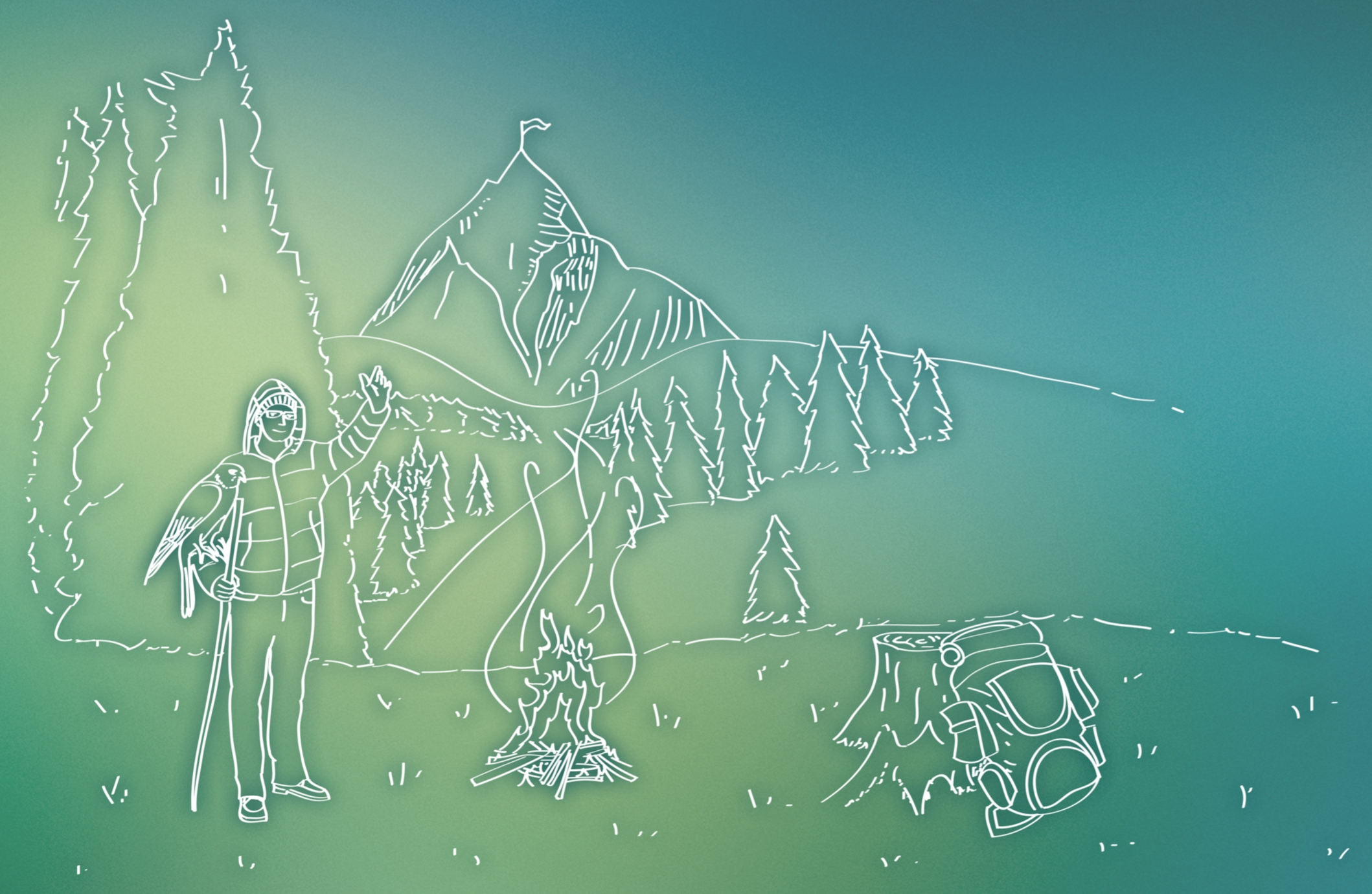 wild frontier color