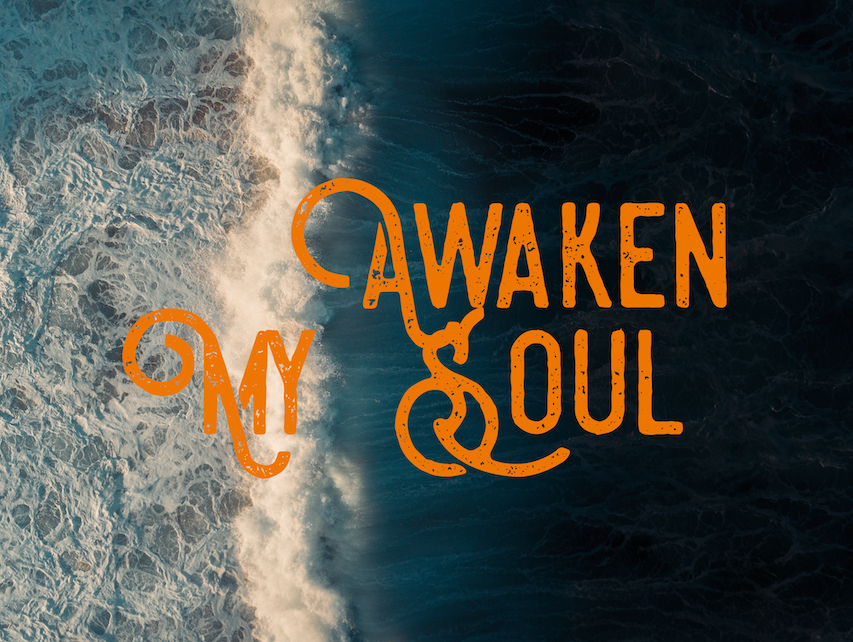awaken my soul web
