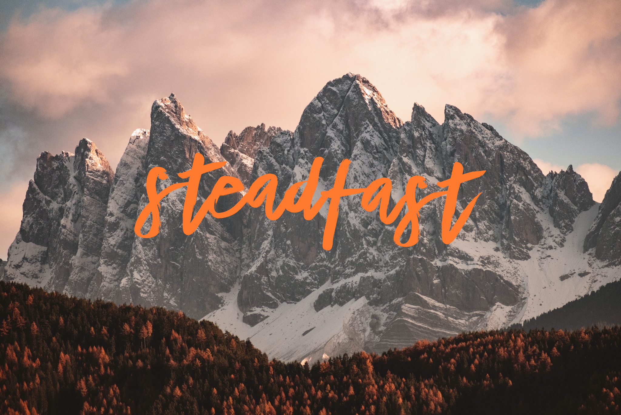 steadfast2