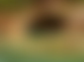 National Post: Here's where Canadians are travelling this summer