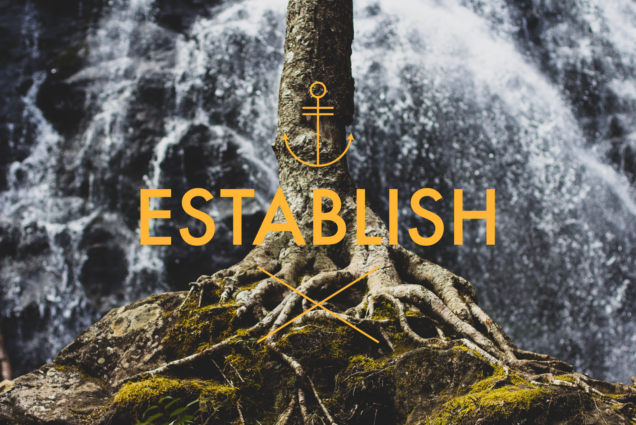 establish
