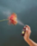 Pack_Rati2202230428.jpg