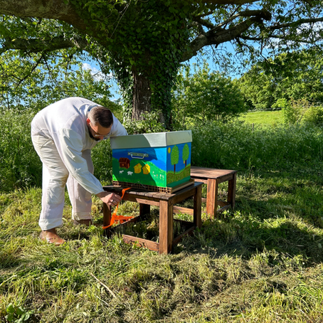 🍯 BIENVENUE À NOS ABEILLES 🍯