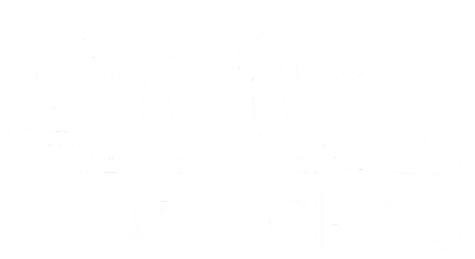 sola-zwickau