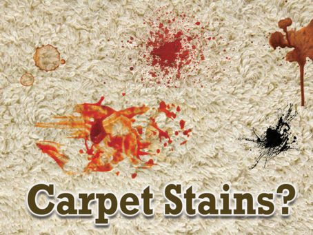 What Stains Can Be Removed From Carpet & Rugs? Let's Break It Down!