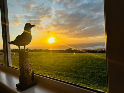 A Birds Eyed view