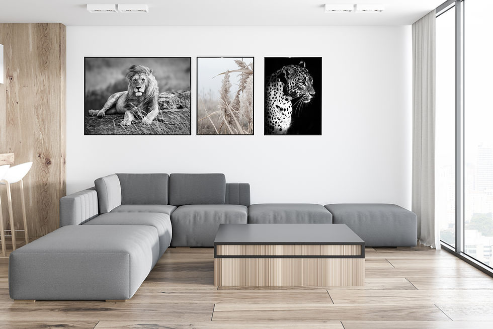 Miniatyrbilde: LION (liggende)