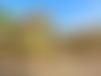 希少米!天日干し米入荷