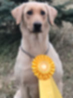 Nahla