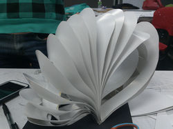 mock up model capsule