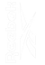 reebok.png