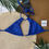 Thumbnail: Royal blue OCEANUS EXTRA CHEEKY bikini top