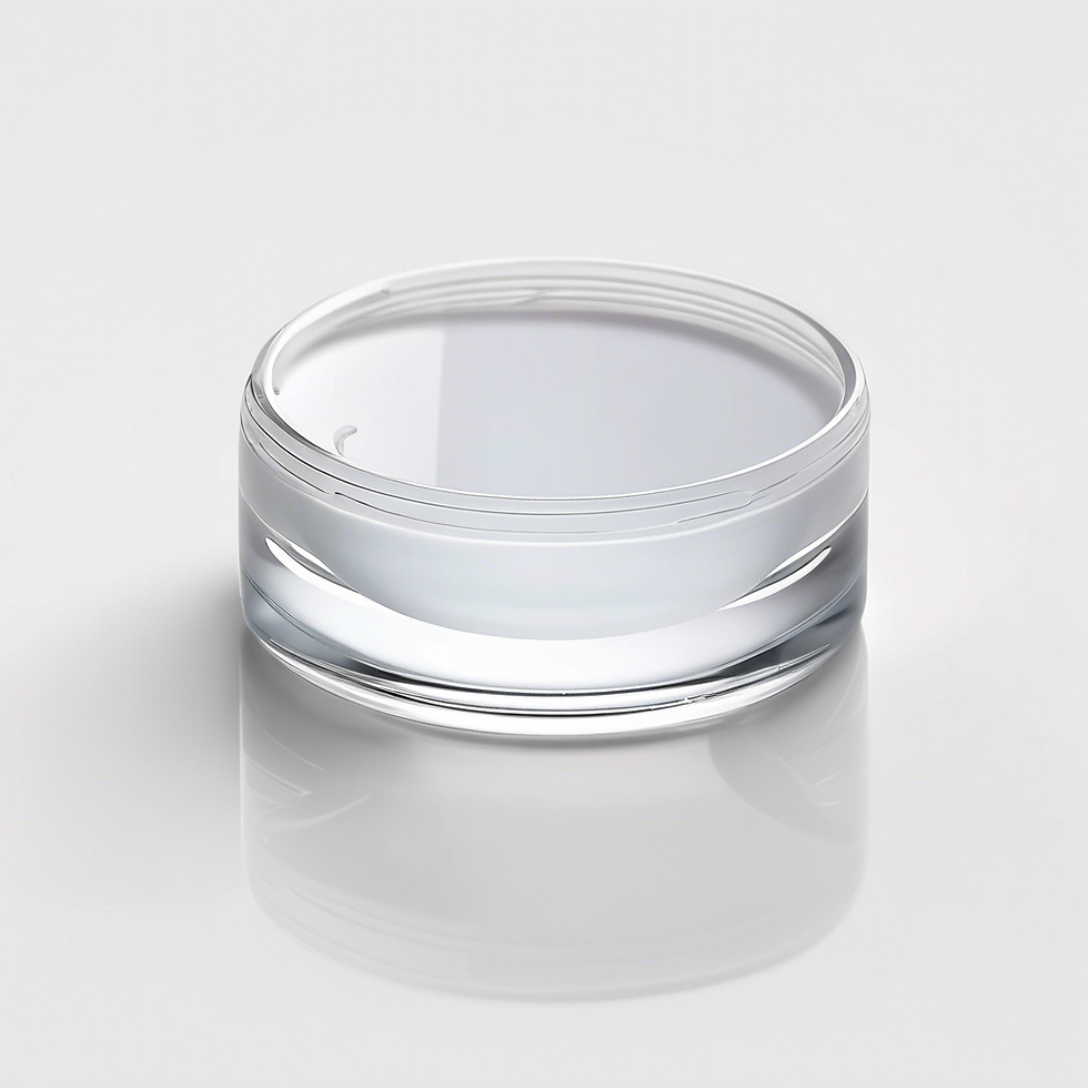 Daily Disposable Lenses