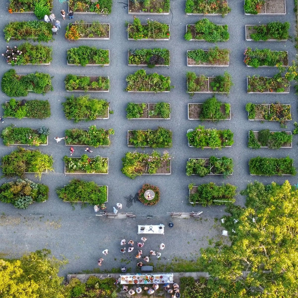 Summer Garden Party