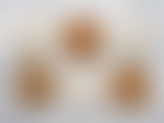 Le sucre raffiné, ce succulent poison ...