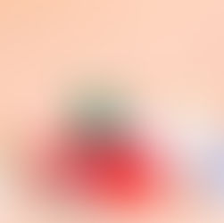 THE CHRISTMAS EDIT: WITH PALM BEACH COLLECTION