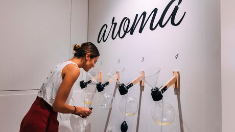 VACATION-BLUES CURE: THE HOLIDAY LAB 