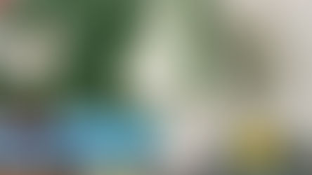 RUBBLE INTRODUCES PAINTED SHADES