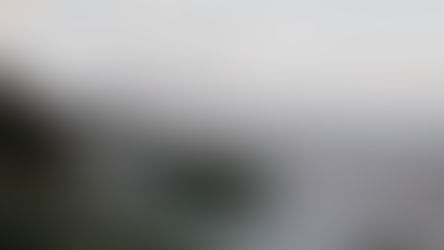 CELEBRATING COLLABORATION IN THE SOUTH COAST TOWN OF BERRY, NSW