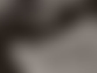 2020'S TOP TREND: SUSTAINABILITY