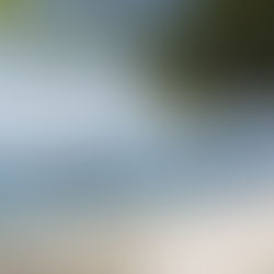 DOOMSDAY PREPPING, NO PASTA, AND DESERTED ISLANDS