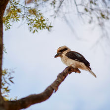 THE PERFECT WEEKEND AWAY