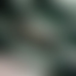 THE PERFECT DAY, THE PERFECT NIGHT; TROPICOLA, IS WHAT IT FELT LIKE.