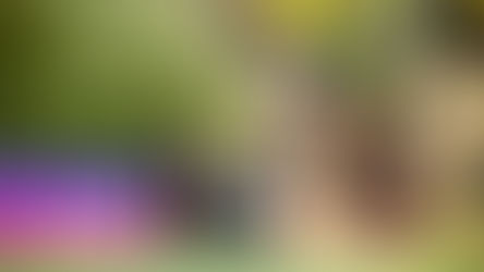 EXPERIENCE THE MOONLIGHT CINEMA WITH GARNIER