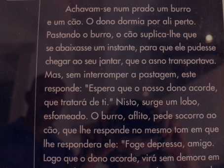 Who hasn't delighted in La Fontaine's fables?