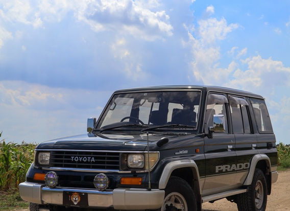 Rare 1995 Toyota Land Cruiser Prado SX Wide with a legendary 1KZ-TE 3.0L turbo diesel engine, selectable 4WD, factory graphics, and a well-preserved interior. Now for sale at LION JDM IMPORTS LLC with nationwide shipping options.