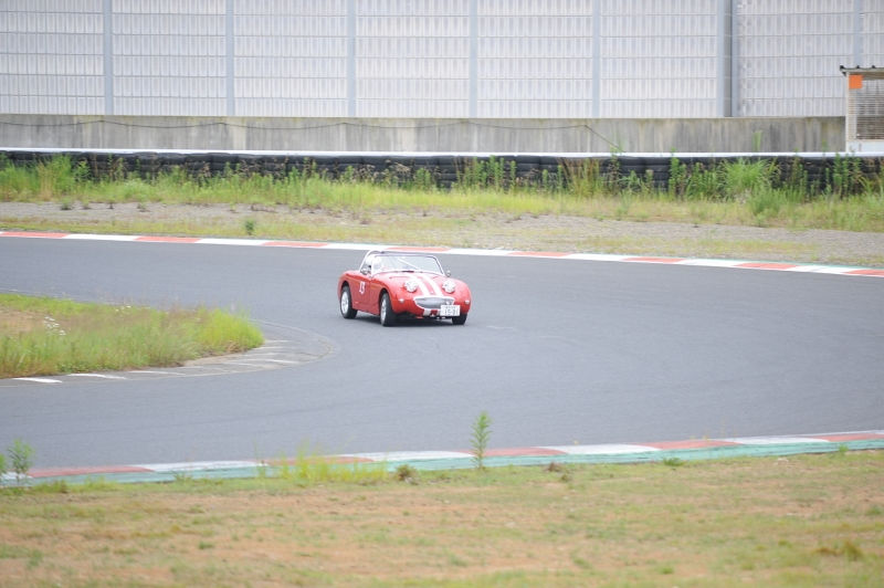DSC_6305 (800x532)