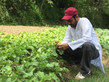 From Corporate to Crops: MBA Grad’s Organic Farming Revolution Now Yields Rs 4 Crore Annually