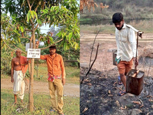 Odisha Carpenter Transforms Barren Land into a Flourishing Forest Over a Decade of Dedication
