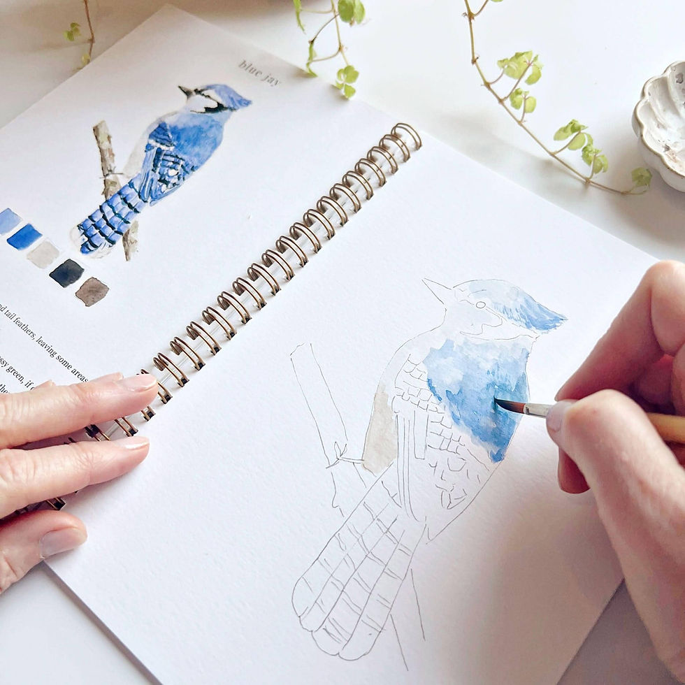 Thumbnail: Birds watercolor workbook