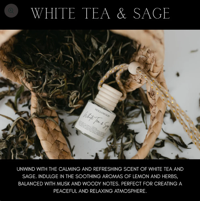 SPRING CAR DIFFUSER WHITE TEA & SAGE
