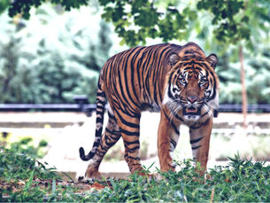 Top Local Activities for Kids