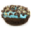 Chocolate Mint Chip
