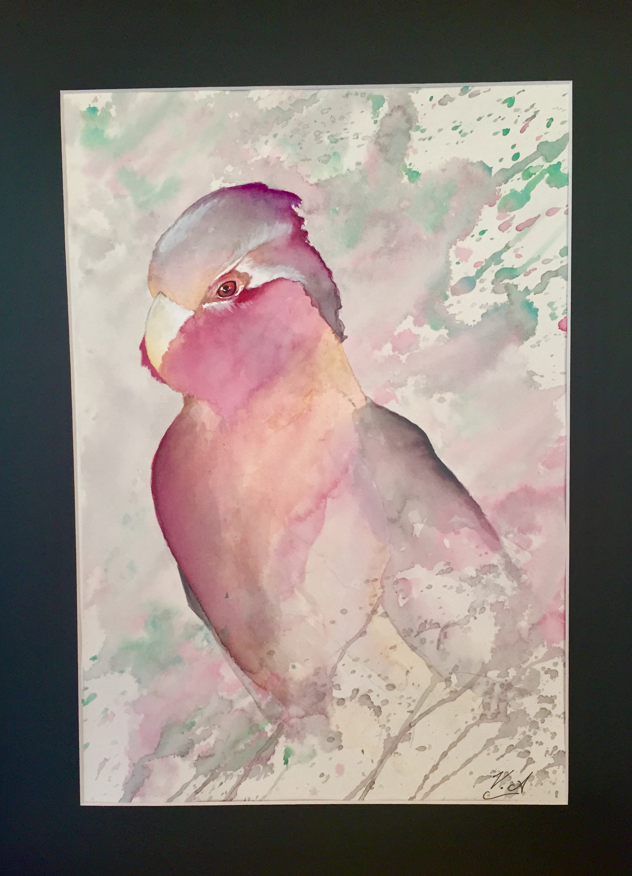 bird