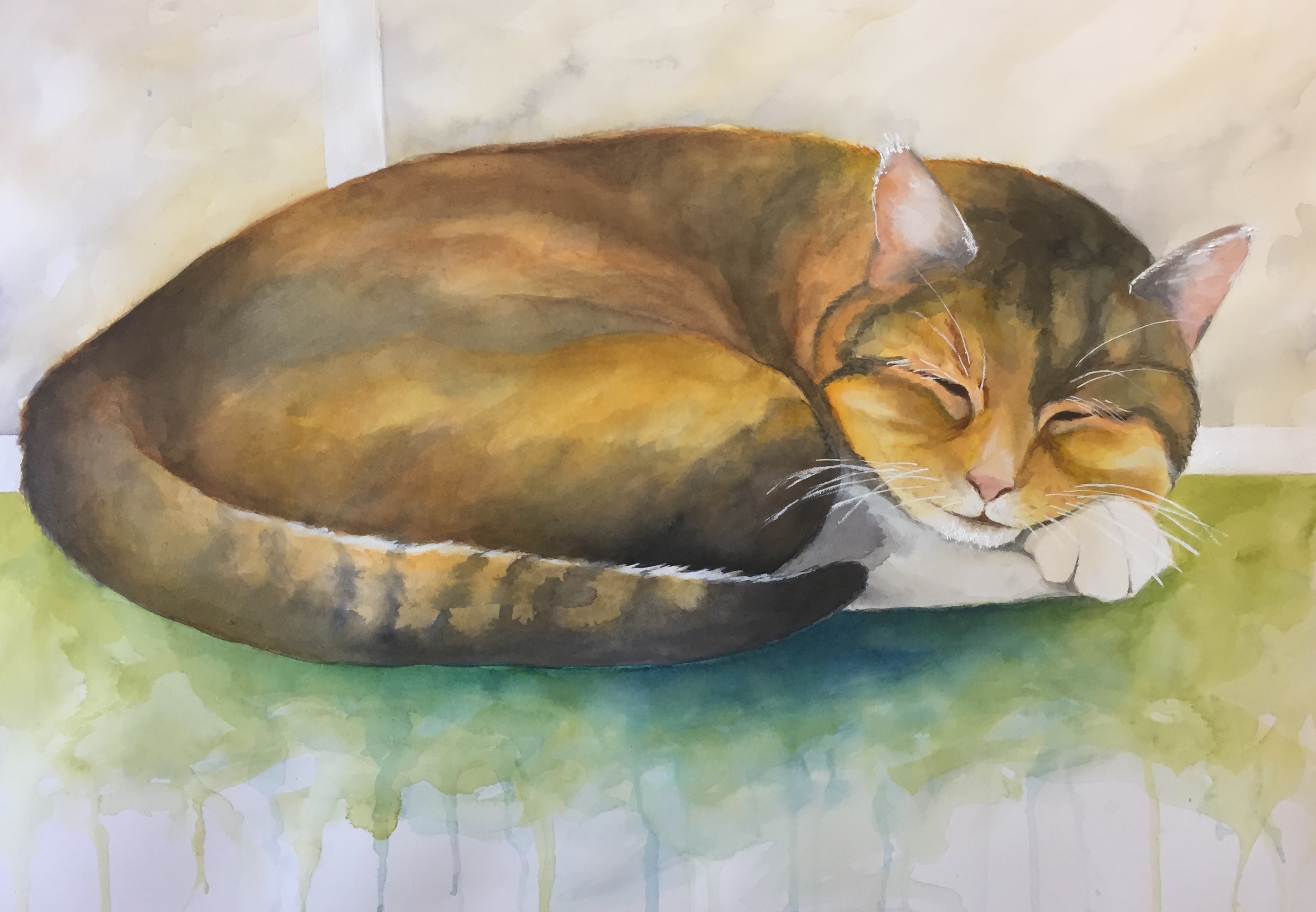 afteernoon nap