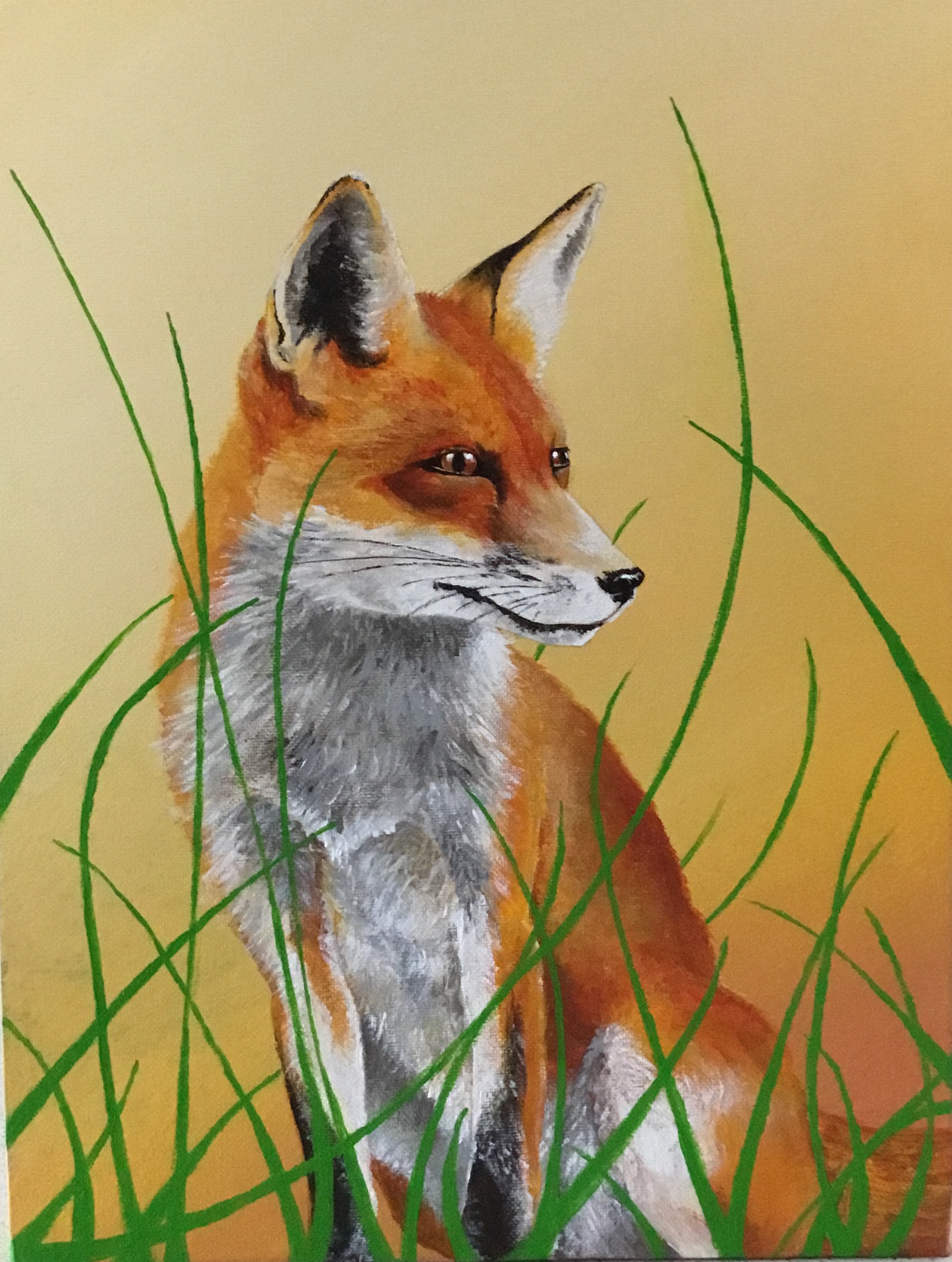fox acrylic