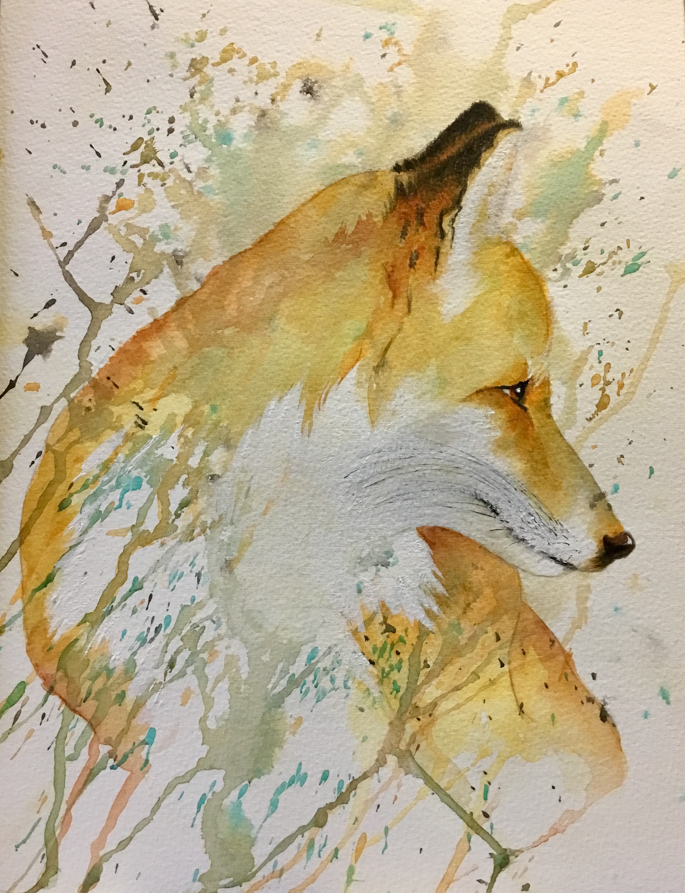 fox