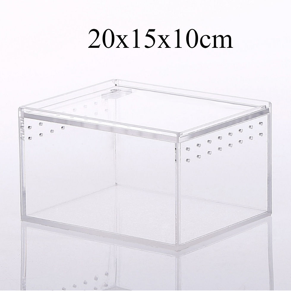 Miniatura: Transparent Acrylic Reptiles Breeding Box Spider Lizard Amphibian Terrarium Leak