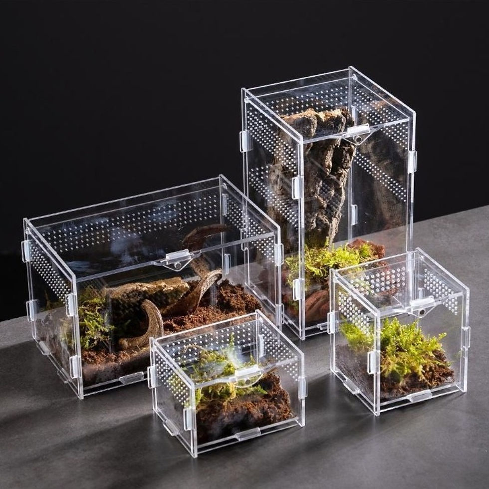 Miniatura: Durable Acrylic Reptile Habitat Clear Multiple Size Lizard Breeding Box Anti-Esc
