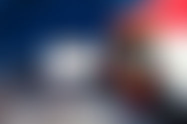 How to Use Humic Acid in Plants and it's Benefits