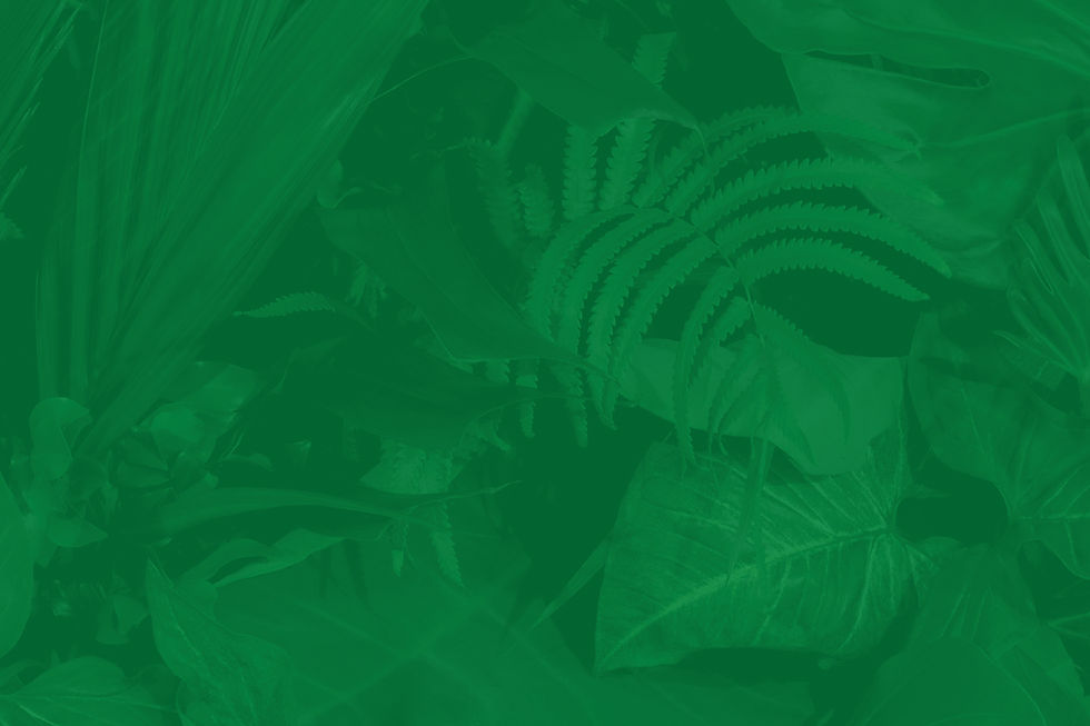 mAIN BACKGROUND 2.jpg