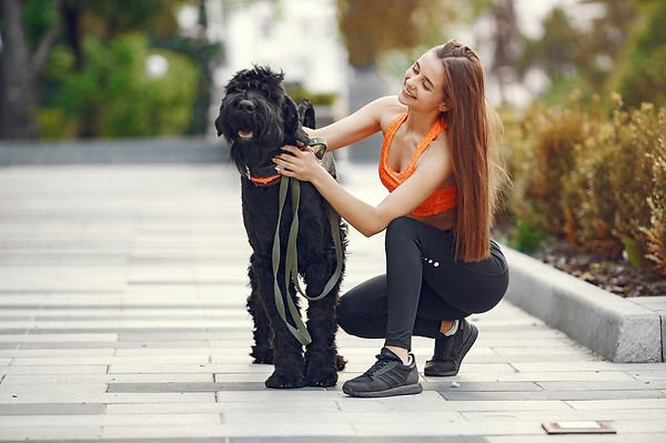 chien balade humain longe.jpg