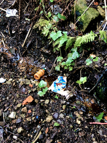 Magazine photo 3.png